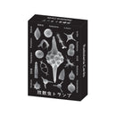 Radiolaria Playing Cards with Fossil Images - Shizuoka City