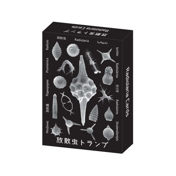 Radiolaria Playing Cards with Fossil Images - Shizuoka City