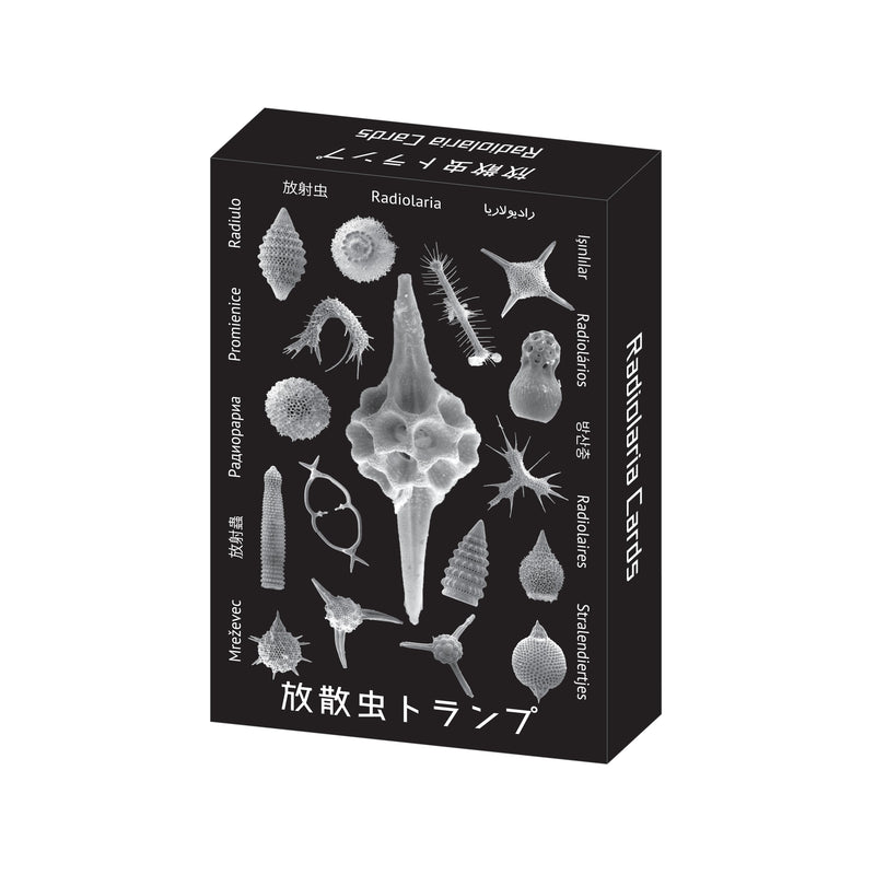 Radiolaria Playing Cards with Fossil Images - Shizuoka City