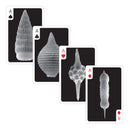 Radiolaria Playing Cards with Fossil Images - Shizuoka City
