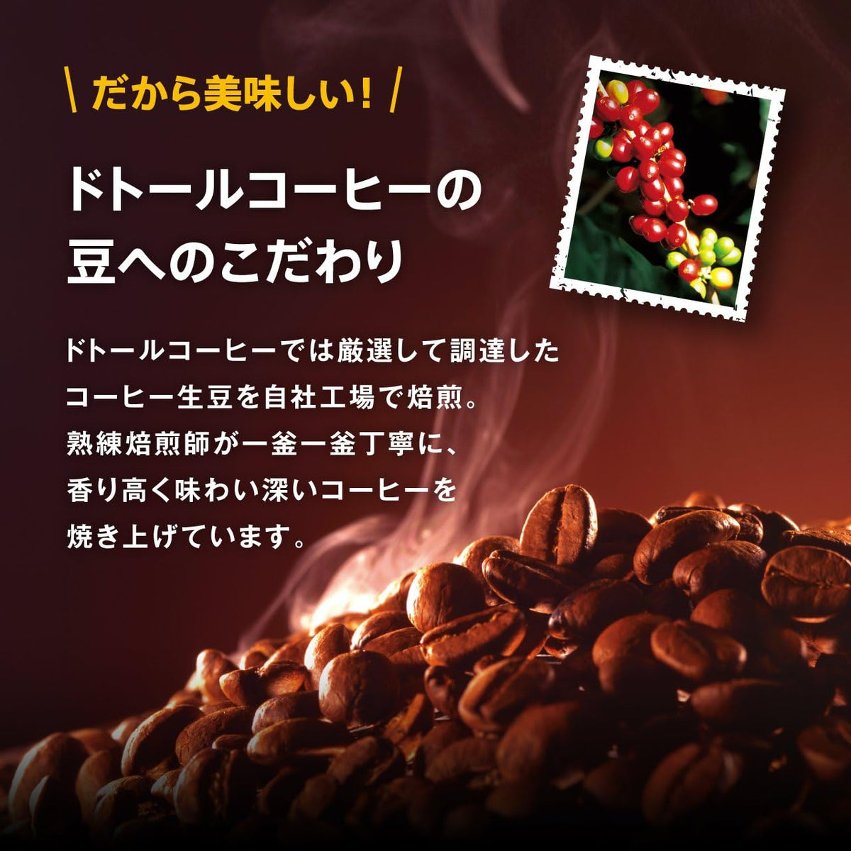 DOUTOR Coffee Drip Pack Deep Dark Roast Blend 100 Packs Japan - Tokyo