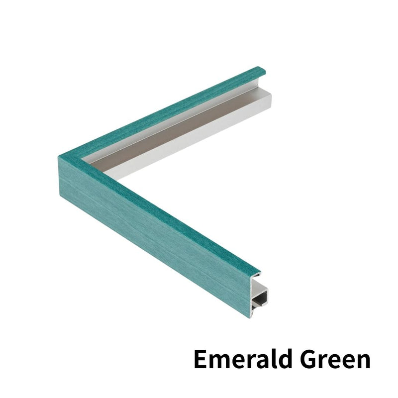 T25 Ball Frame Small Size Display Case for Sports Memorabilia - Aluna-frame