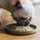 Buddy FOOD Single Flavor 4-Pack Human-Grade Dog Food Select Flavor - Buddy FOOD