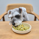 Buddy FOOD Single Flavor 4-Pack Human-Grade Dog Food Select Flavor - Buddy FOOD