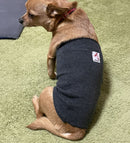 Terra Pet Waist Belt : Pet health item that generates terahertz far-infrared radiation - Kurumira