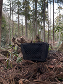 HORIZON TETSURIN traditional Iron Plate diatomaceous earth shichirin Made in JAPAN - Kawasaki City Store