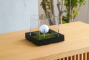 Golf Ball Display Case w/ Tee & Turf – Acrylic Hole-in-One Box - Aluna-frame