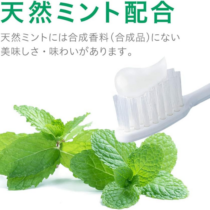 Lion Systema EX Toothpaste Medical Cool 130g – Gum Care – Made in JAPA