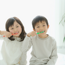 Lotte Dental Xylitol Gum Bottle Apple Mint 90pcs Sugarless – Made in JAPAN - Tokyo Sakura Mall