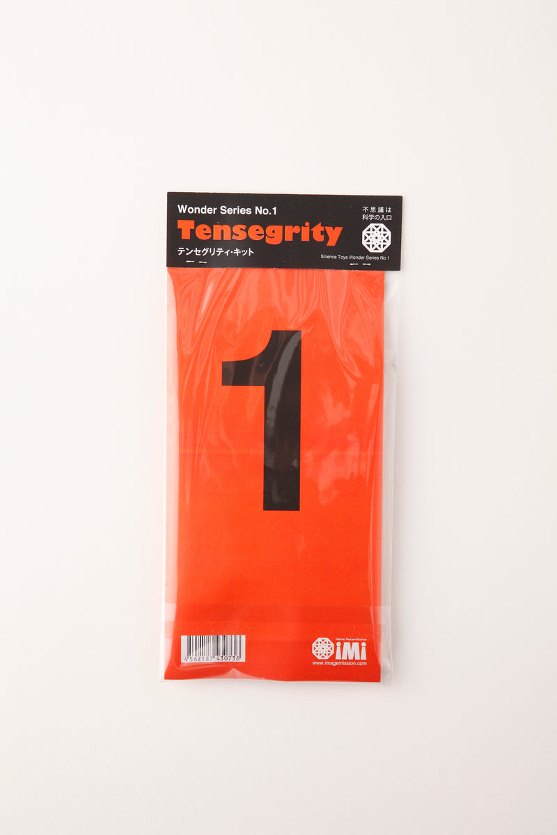 Tensegrity Wooden Science Toy Kit – Floating Stick Illusion - Shizuoka City