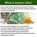 MASHUU Natural Hiba Multi-Purpose Deodorizing Spray - Kawasaki City Store