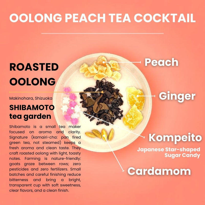 “KANPAI” DIY Tea Cocktail Kit - Infuse Spirits with Japanese Tea - Shizuoka City