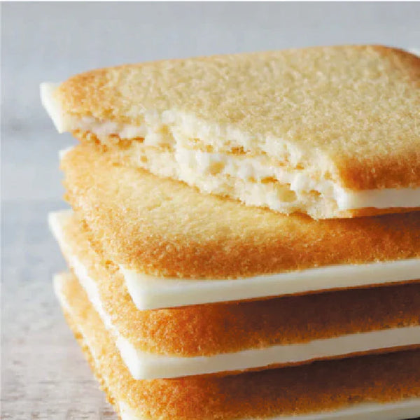 Shiroi Koibito White Lovers White Chocolate Cookie Sakura Japan