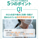 Sugar-free Peppermint Flavor 18 Tablets – Soothe Sore Throat – Made in JAPAN - Tokyo Sakura Mall