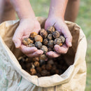 HONUA Surfrider Hair and Skincare of Natural Origin from Okinawa - Kurumira Shop