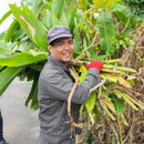 HONUA Surfrider Hair and Skincare of Natural Origin from Okinawa - Kurumira Shop