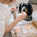 Buddy TREATs All 5 Flavors Jerky Variety Pack 90g Dog Treats - Buddy FOOD