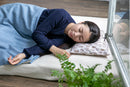 Japanese Hinoki (Cypress) Forest Pillow - Kurumira Shop