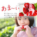 Hokkaido Condensed Milk 400g Tube Bottle Hokunyu Inc.send from Hakodate Japan