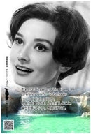 Premium Japanese Yabukita Tea with Historical Icon Packaging – Includes Postcard - Kurumira Shop