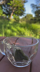 ONE WORLD Organic Yame Sencha (First Harvest) - 2g × 10 Tea Bags - Kurumira Shop