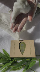 Daiwa BRI Sasa no Megumi Natural Moisture Soap - Made with Japanese Herb (Kumasasa), Similar to Matcha  - Made in JAPAN - Kawasaki City Store