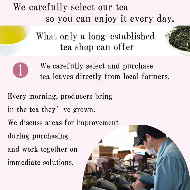 Hagiri Japanese Tea Bag Series – First Flush & Premium Blends Matcha hoji - Shizuoka City