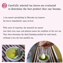 Hagiri Japanese Tea Bag Series – First Flush & Premium Blends Matcha hoji - Shizuoka City