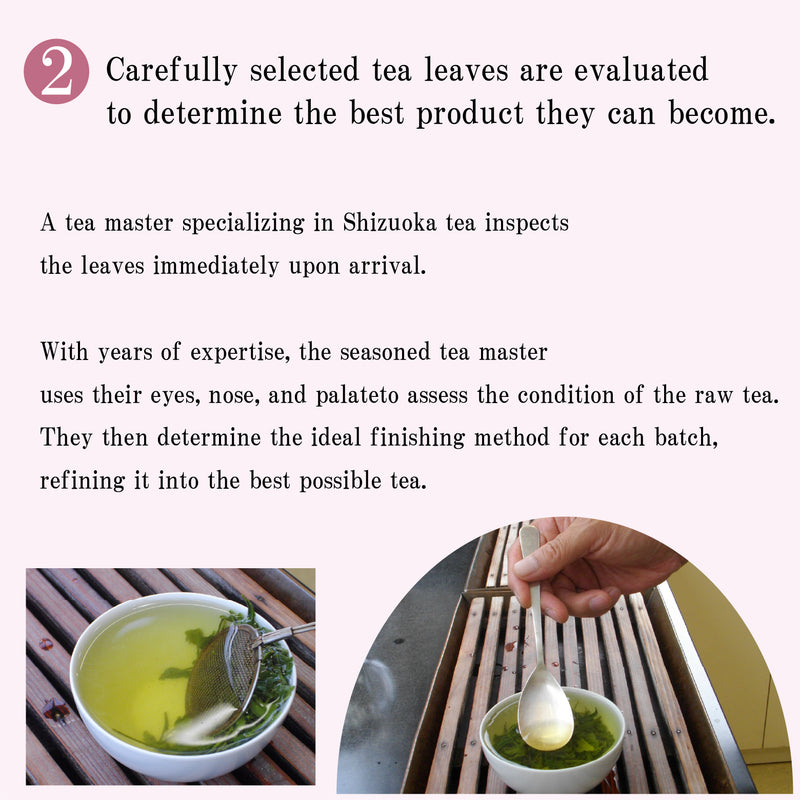 Hagiri Japanese Tea Bag Series – First Flush & Premium Blends Matcha hoji - Shizuoka City