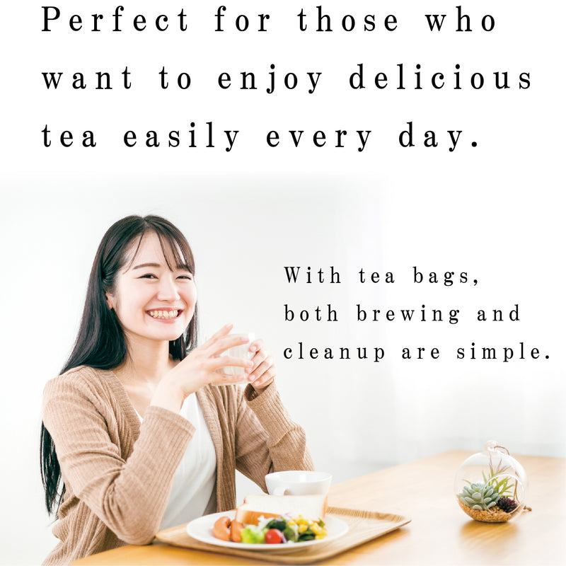 Hagiri Japanese Tea Bag Series – First Flush & Premium Blends Matcha hoji - Shizuoka City