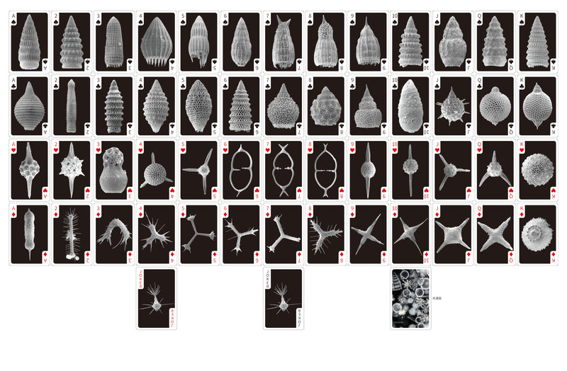 Radiolaria Playing Cards with Fossil Images - Shizuoka City